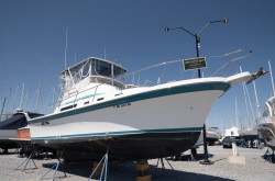 Albin 32 for sale02 Albin 32 for sale02