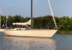 9161405_20231207074632651_1_LARGE