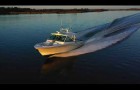 Grady White 375  Rock Solid
